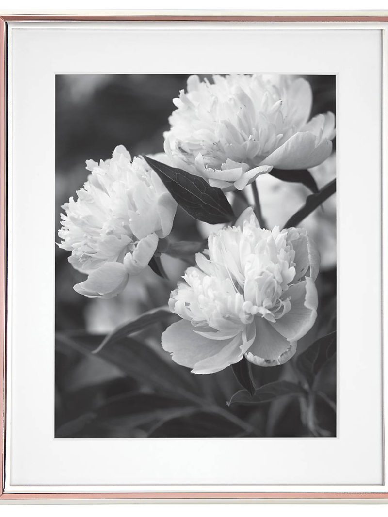 Rosy Glow 8" x 10" Frame